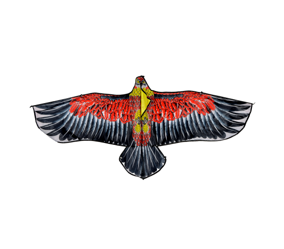 Aga Létající drak s motivem orla 160 cm