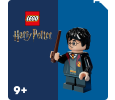 LEGO® Harry Potter™