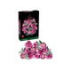LEGO® Botanicals 10374 Kytice růžových růží