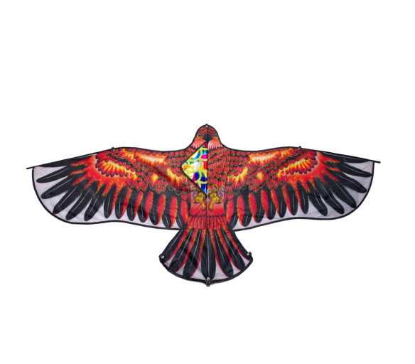 Aga Obrovský drak Eagle 160cm + šňůra