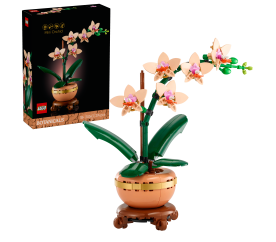 LEGO® Botanicals 10343 Miniaturní orchidej