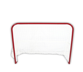 Spartan Hokejová branka STREETHOCKEY 50"