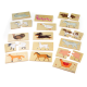 Bigjigs Toys Didaktické puzzle Zvířátka¨2DZ159 - II. JAKOST